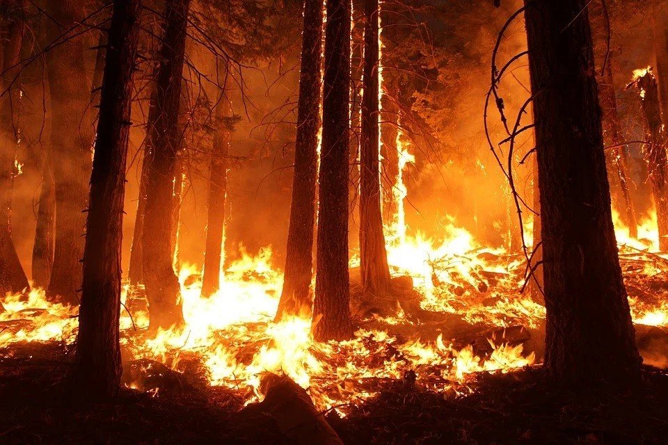 Consejos de seguridad contra incendios forestales: acampar durante la temporada de incendios forestales