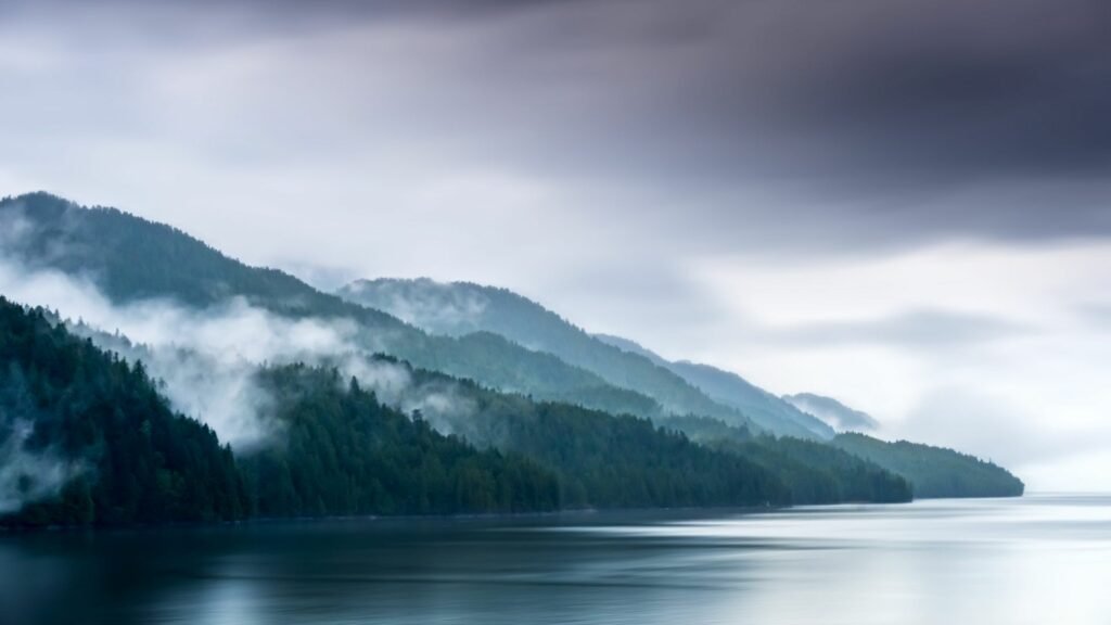 La niebla se desplaza a través de los árboles hasta el fiordo en Alaska