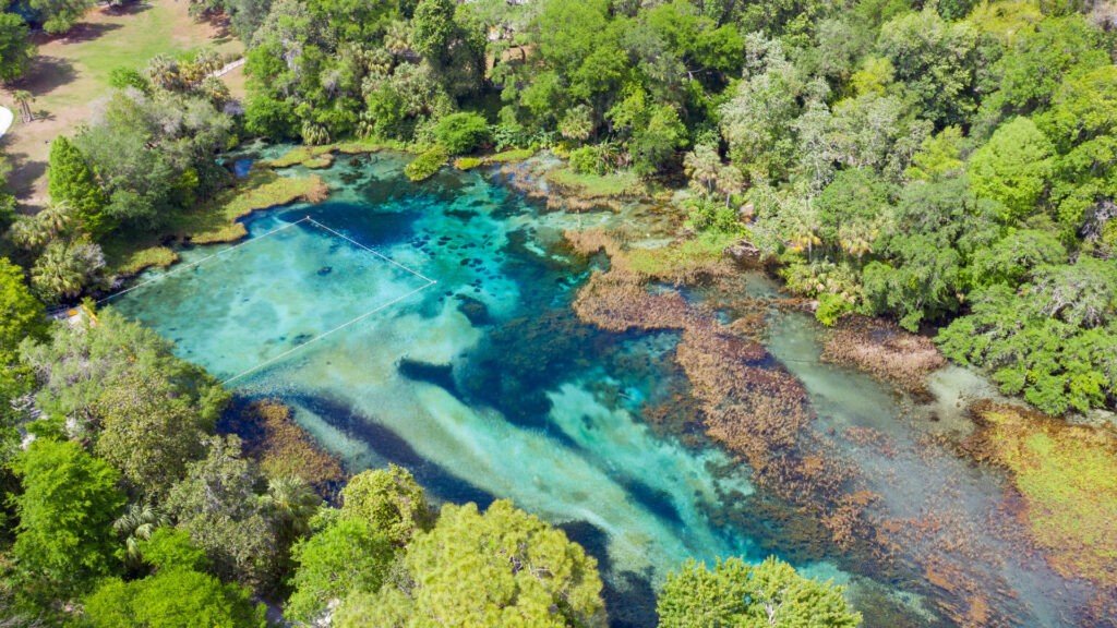 Una toma de drone de Rainbow Springs desde arriba que muestra el agua azul clara y los frondosos árboles verdes.